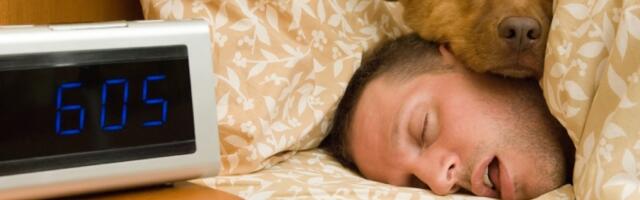 Kako na najdelotvorniji način sprečiti mamurluk