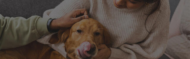 Nauka potvrđuje: 83% vlasnika smatra da je njihov život bolji uz ljubimce