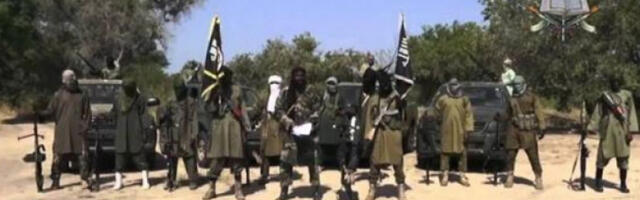 Најмање 15 мртвих у нападу Боко Харама на село у североисточној Нигерији