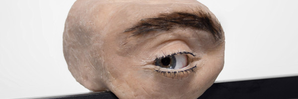 Jeziva interaktivna veb kamera u obliku ljudskog oka