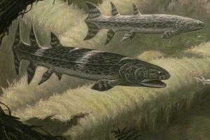Пронађен фосил „рибе убице“ стар 360 милиона година