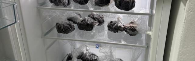 FOTO: Novosadski dileri spremili i dva kilograma kolača sa marihuanom pre hapšenja