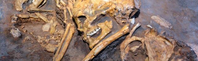 Skrivena tradicija stara 15.000 godina: Evo šta su deca pravila mnogo pre pojave grnčarstva i poljoprivrede