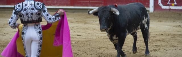 MATADOR TEŠKO POVREĐEN TOKOM BORBE! Bik jurnuo na njega i zario mu rog, pa odbacio u vazduh!