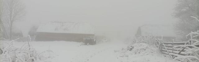 Kad padne mrak, svi trče u kuće: Pre nekoliko večeri on joj je došao pred vrata