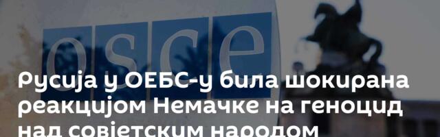 Русија у ОЕБС-у била шокирана реакцијом Немачке на геноцид над совјетским народом