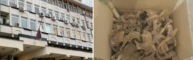 Tužilaštvo krije rezultate analize posmrtnih ostataka pronađenih na Hadžetu