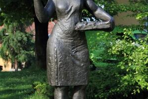 Loša godina za proizvodnju maline u Srbiji