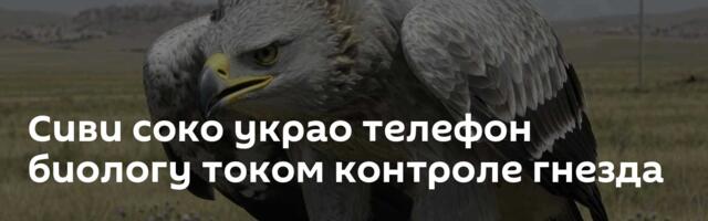 Сиви соко украо телефон биологу током контроле гнезда