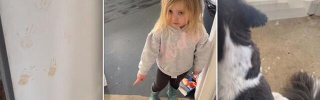 Devojčica ostavila otiske ručica, okrivila psa (VIDEO)