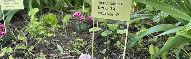 Umesto u rupama na putu, cveće završilo u seoskom parku i dvorištu škole u Elemiru