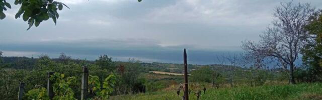 I danas organizovana šetnja Fruškom gorom i poseta manastiru Vavedenje