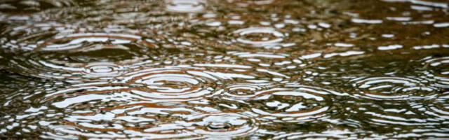 ​Сутра претежно облачно, местимично с кишом