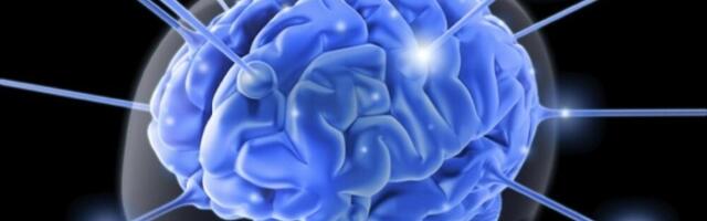 Hobi koji „resetuje“ mozak: Neurolog tvrdi da ova navika jača pamćenje i koncentraciju