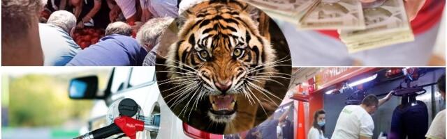 Šta dramiš, čoveče, zar nismo ekonomski tigar?