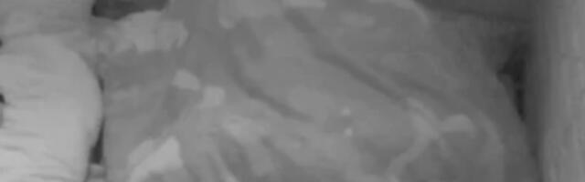 ANITA BLJUJE VATRU NAKON NAJNOVIJE VRELE AKCIJE SA FILIPOM ĐUKIĆEM: Ovim ju je ukanalio za sva vremena!