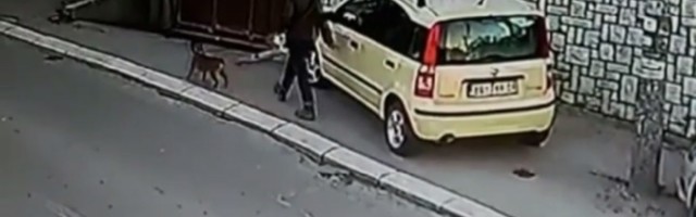 "Bravo! Stoka, treba ga prebiti": Huligan grebe kola, Instagram se usijao