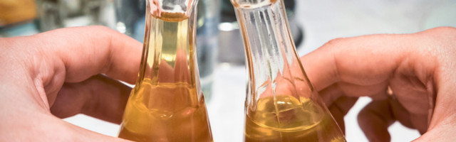 Rakije iz tri srpske destilerije dobile nagrade u Londonu