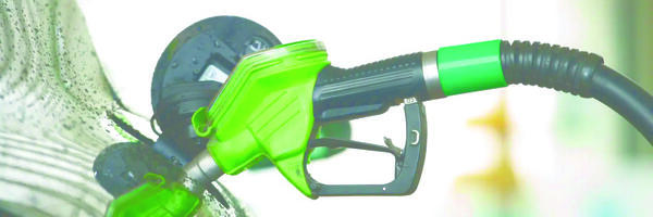 Kvasac i biogoriva – Energija budućnosti iz prirode