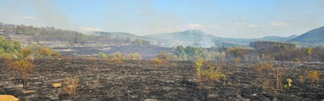 Veliki požar u okolini Svrljiga, gori preko 100 hektara