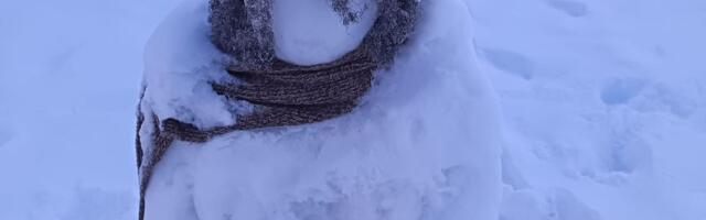 Pronašli smo najružnijeg Sneška u Srbiji! Otkrivamo gde se nalazi ovo ČUDO