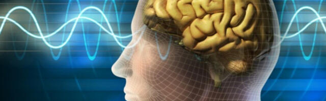 Студија објашњава зашто код неких људи са старењем мозак остаје очуван