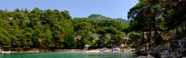 Plaža na Tasosu osvojila turiste: Letnja senzacija sa čistim morem i prirodnom hladovinom (VIDEO)