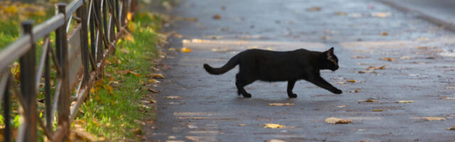 Astrolozi otkrivaju: Ovo su najsujeverniji horoskopski znaci