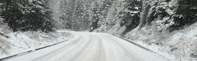 Putari se čitavu noć borili sa snežnim nanosima, jutros bez većih problema