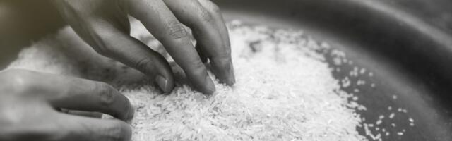 Ovaj pirinač je najskuplji na svetu: Košta 100 evra po kilogramu, a prodaje se kao na traci