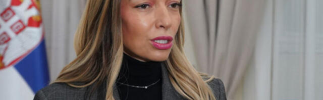 Месаровићева: Кривична пријава Маринике Тепић против Вучевића бедни спин