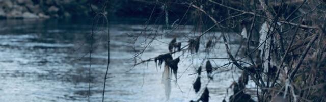 Šok prizor u Nišu: Da li je moguće da OVO pluta rekom?!