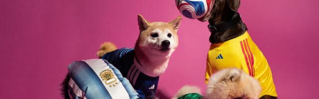 FIFA World Cup 2026 Pet Collection: Sportska oprema i dresovi za kućne ljubimce u prodaji od 1. maja