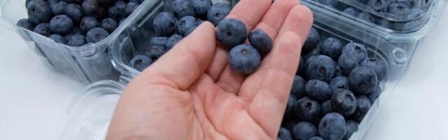 Nikada ne kupujte bobičasto voće ako vidite ovo na pakovanju: To je najveće upozorenje, smrt od otrova!