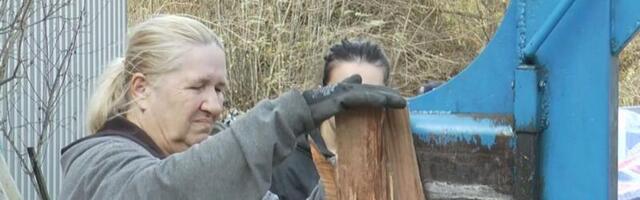 Žena zmaj: Borisava sama iscepala 30 metara drva za ogrev! Čačanka motivisala mnoge žene!