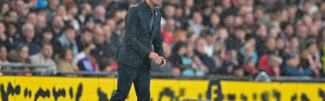 SADA I ZVANIČNO: Paunović ostaje selektor Srbije na duže staze!