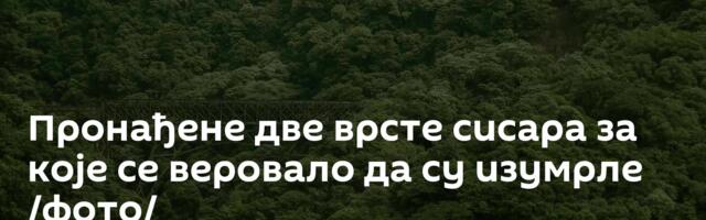 Пронађене две врсте сисара за које се веровало да су изумрле /фото/
