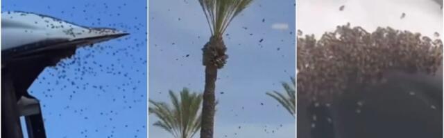 Rojevi pčela napadaju vojne avione u Izraelu?! Šokantni snimci: Šta se ovo dešava?! (VIDEO)
