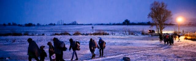 Pet osoba uhapšeno na srpsko-bugarskoj granici zbog krijumčarenja migranata