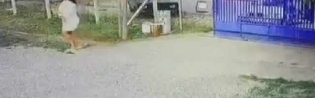 Pauk joj odneo auto, po njega došla u bade mantilu (VIDEO)