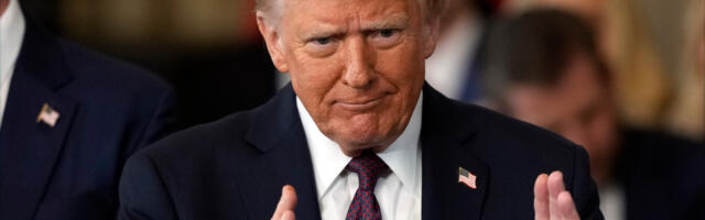 Tramp, Grenland i dve zaprege sa psima