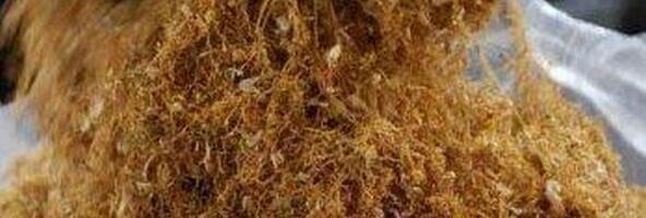 Na pijaci zaplenjeno više od 236 kilograma duvana i preko 6.000 paklica cigareta