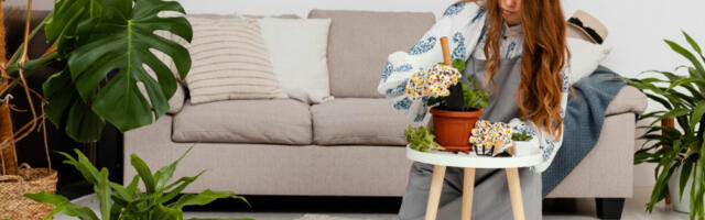 Mislite da donose harmoniju, a mogu da vam unesu nemir i razdor: Ove tri biljke ne unosite u vaš dom