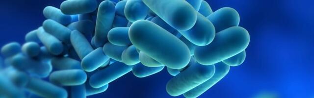 Proglašena epidemija u Gostivaru! Broj obolelih prelazi hiljadu, među njima i deca