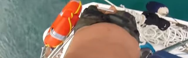 U toku je najezda lavovskih griva, ubijaju na licu mesta! (FOTO/VIDEO)