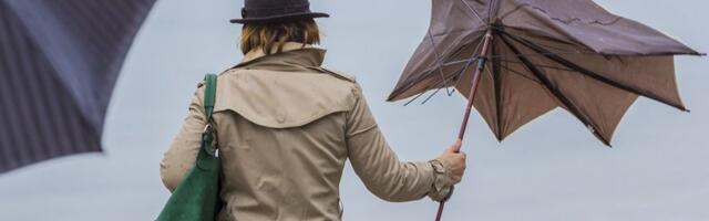 VREMENSKA PROGNOZA ŠOKIRA: Stiže nam sneg, vetar i padavine! Evo detaljnog izveštaja