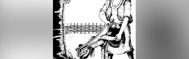 Где нестадоше конопља и трлица