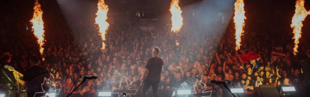 Допринос протектората реинтеграцији Босне