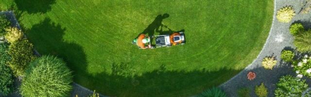 Travnjak kao iz bajke: Poprskajte samo ovaj prah i biće gušći nego ikada