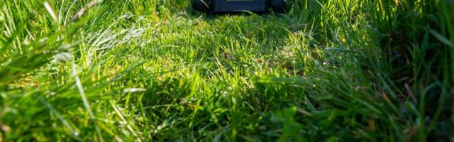 Ako za vreme praznika radite ovo u bašti i vrtu u Nemačkoj, možete popiti ozbiljnu kaznu: Cifra je do 50.000 evra